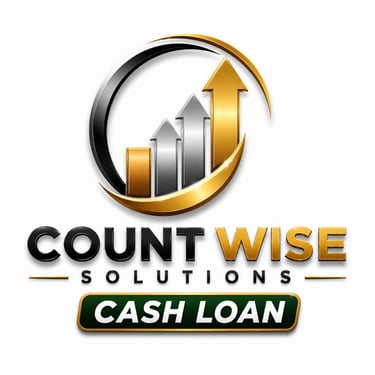 Count Wise Solutions logo