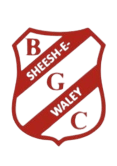 Belgium Glass Company logo
