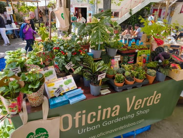 An outdoor Oficina Verde urban gardening shop display featuring potted plants, cherry tomatoes, and succulents for sale.