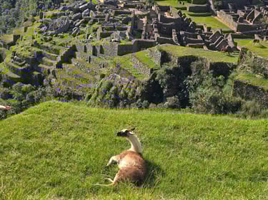 Striking Photographs of the Machu Picchu