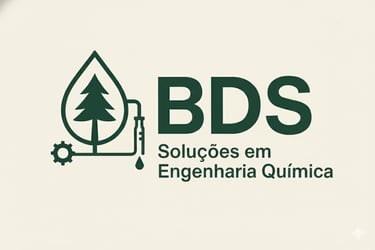 BDS CONSULTORIA E SERVICOS DE ENGENHARIA logo