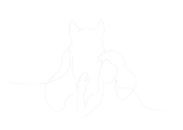 Entre Cavalos e Corações logo