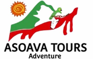 ASOAVA Tour logo