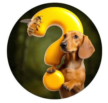 Logo de ChimiDatos, historias humanas del cine y las series