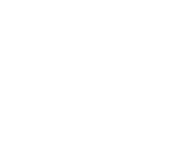 Nodalix Global Solutions logo