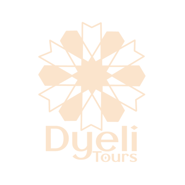 Dyeli Tours logo