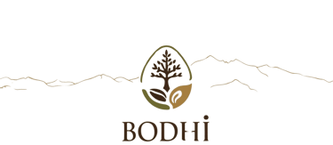 Bodhi Beans logo