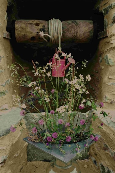 Arrosage - C.Fouassier - Ménil Image - kiosque à Images Chateau-Gontier - Photographie