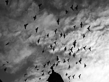 GALICIA_SANTIAGO D ECOMPOSTELA_© Doctor Z | Miquel Angel Riquelme Nuñez