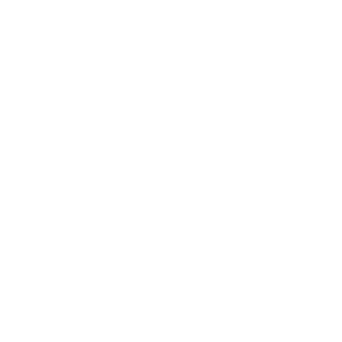 Wild Frames Chile logo