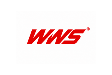World Wrestling shop logo