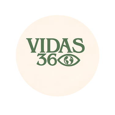 VIDAS360 logo