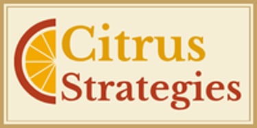 Citrus Strategies USA | Campaign & Digital Services logo