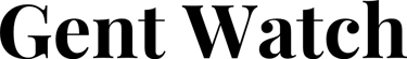 Vyras Laikas logo