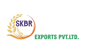 SKBR EXPORTS PRIVATE LIMITED logo