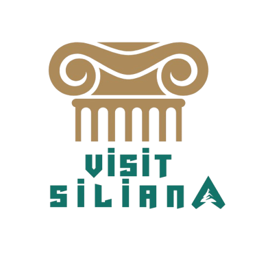 Visit Siliana logo