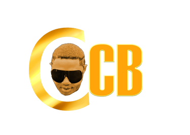 Power Pro Energy Trading Venture logo