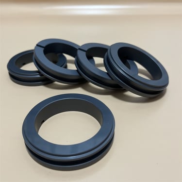 Silicon Carbide Mechanical Seals