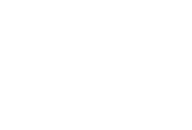 ViaEmilia tributo a Ligabue logo