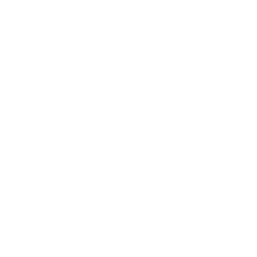 Carolina Wissner logo