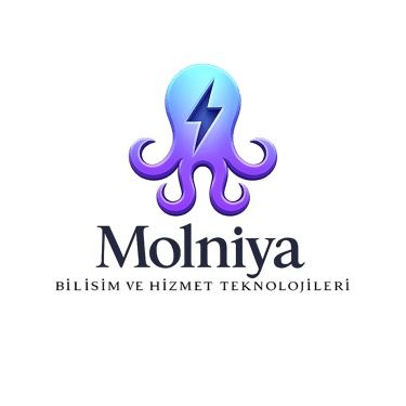 Molniya Bilişim ve Hizmet Teknolojileri logo