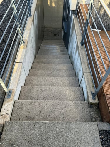 Outdoor concrete basement stairs with metal handrails leading to a lower entrance.