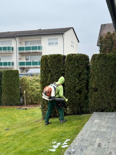 A landscaper uses a backpack leaf blower to clean a garden lawn near tall green hedges.