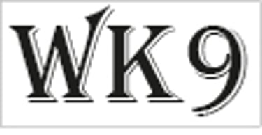 K9canino logo