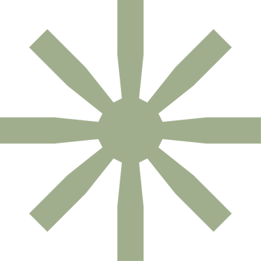 risedance.studio logo