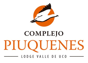 ValleLuz logo