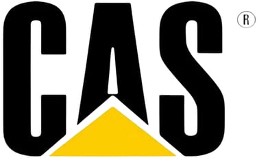 Corporativo Asesor y Servicios logo