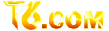 T6 logo