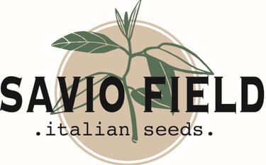 Savio Field logo