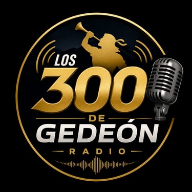 Vibra300 logo