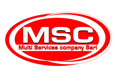 Multi Services Company logo