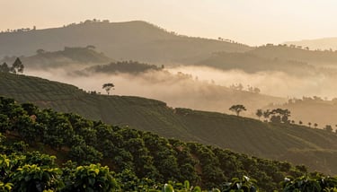 Rich, roasted coffee beans spilling onto a dark wooden surface, highlighted by a single warm light source.