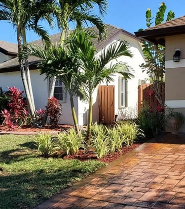 Tropical landscape design with palm trees and shrubs lining a stamped concrete driveway.
