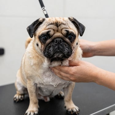low angle view photography of a gray building