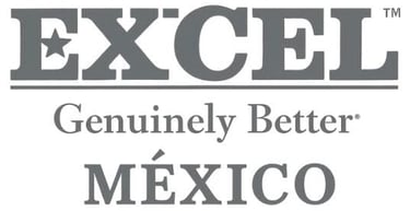 Excel Mexico logo