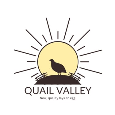 Quail Valley Midvaal logo