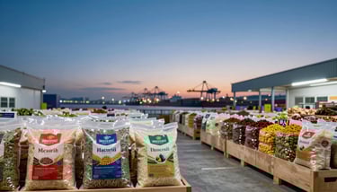Macro photography of long-grain basmati rice on a dark navy blue surface with dramatic lighting.