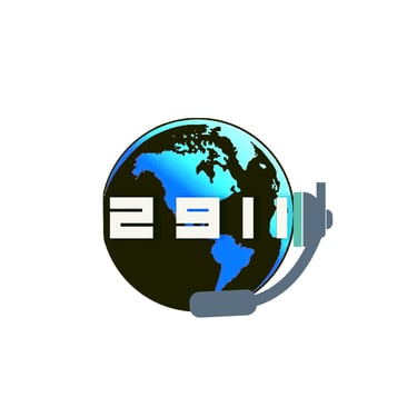 2911 Virtual Services logo