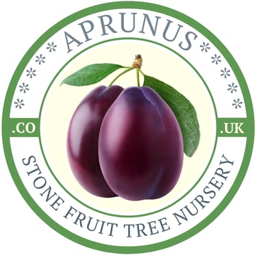 Aprunus logo
