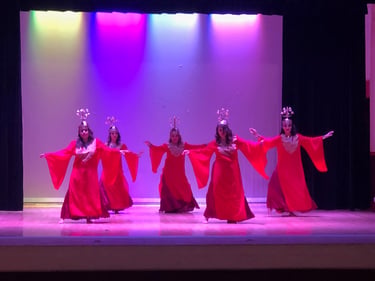 folclor arabe por raquel ortiz y rojo liminal danza en Aguascalientes