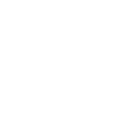 Lernecalisthenics - Tamer Eskin logo