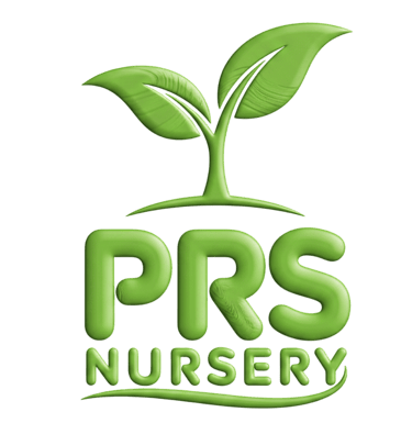 PRS NURSERY logo