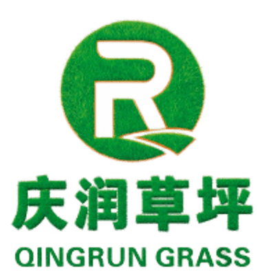 Qingrun logo