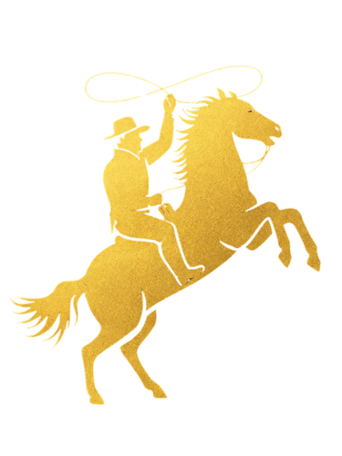 BRANDING24K logo