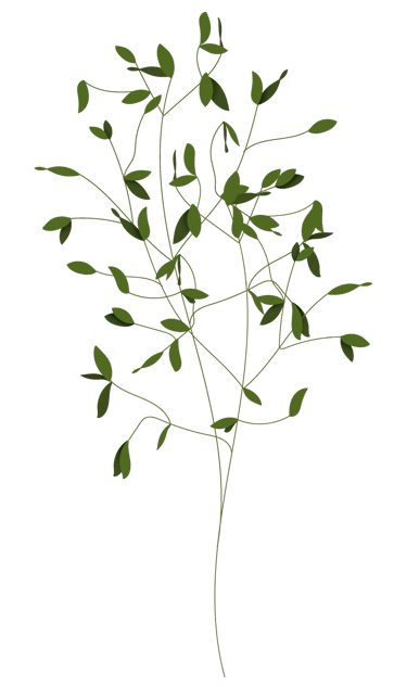 Saundra Rhoden, Therapy In Progress logo