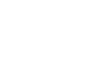 pigeons steam